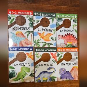 Dinosaur Closet Dividers for Baby Clothes
